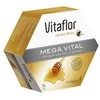 Vitaflor Mega Vital 20 Vials 200ml