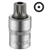 Force Dvylikakampis-galvutė Spline M14 1/2"