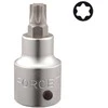 Force Šešiakampis-galvutė Star T60 3/4"