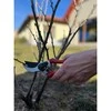Sekatorius teflonu padengta geležte su atsargine geležte 210mm SAMURAI KS-4T