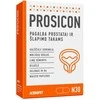Iconfit Prosicon Prostatai ir slapimo takams 30 kaps.