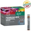 Liposomal shots FERRUM+B12, 14 vnt.