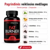 PROVITAMINS riebalų degintojas EXTRA STRONG (60 kaps.)