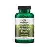 Swanson FS TRIBULUS FRUIT (Seksualinei funkcijai) (90 kaps.)