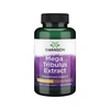 Swanson MEGA TRIBULUS EXTRACT (Seksualinei funkcijai) (120 kaps.)