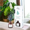 Ambar zen Meditacion Palo Santo