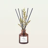 Ambar zen Te Chai
