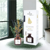 Ambar zen Te Chai