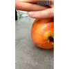 GEFU FRUTI Sulčiaspaudė granatų sėkloms ir sultims