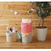 HACHIMAN FRAIRCHAIR Wiadro - 4 ltr, rožinis