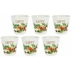 LA PORCELLANA BIANCA LIQUORELLI 6 stiklinių rinkinys kavos likeriui 75 ml