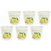 La Porcellana Bianca Set of 6 Limoncello Liquorelli glasses - Baltas, 75 ml
