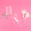 PME Cake Pop maišelių rinkinys su sidabriniais kaspinėliais