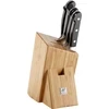 ZWILLING PRO 4 peilių rinkinys bloke