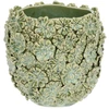 RITUALI DOMESTICI FIORINFIORELLO Zielona donica S