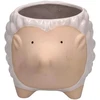 RITUALI DOMESTICI GLIAMICIDELBOSCO vazono laikiklis ežiukas 20,5 x 13,5 cm