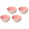 Lassig ROSE&amp;TULIPANI CONCERTO FUSE ROSA Rinkinys iš 4 vidutinių dubenėlių 15 cm