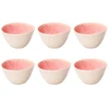Lassig ROSE&amp;TULIPANI CONCERTO FUSE ROSA Rinkinys iš 6 mažų dubenėlių 12 cm