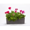URBALIVE BERBERIS stačiakampis savaime drėkinamasis vazonas, 60 x 20 cm, pilkas