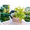 URBALIVE BERBERIS DUO Donica samonawadniająca 78 x 39 cm, ruda