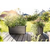 URBALIVE BERBERIS DUO Donica samonawadniająca 78 x 39 cm, pilka