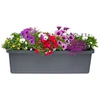 URBALIVE BERBERIS TRIO Donica samonawadniająca 117 x 39 cm, pilka