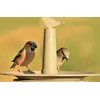 URBALIVE FINCH Karmnik dla ptaków 32 cm, smėlio spalva