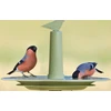 URBALIVE FINCH Karmnik dla ptaków 32 cm, žalia