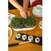 URBALIVE MICROGREENS Kiełkownica + indas su filtrem 30.5 x 16 cm, smėlio spalva