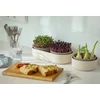 URBALIVE MICROGREENS Kiełkownica + indas su filtrem 30.5 x 16 cm, smėlio spalva