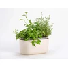URBALIVE TOLITA Donica samonawadniająca prostokątna 31 x 16 cm, smėlio spalva