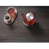 ZWILLING Sorrento arbatinukas su šildytuvu 800 ml 39500-142-0