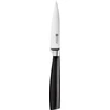 ZWILLING CRAVE Rinkinys 4 noży w bloku
