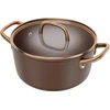 Zwilling ZWILLING Milano Stock Puodas with Glass Lid 24 cm, Brown