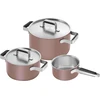 ZWILLING PURE 3 puodų rinkinys