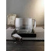 ZWILLING 39500-113-0 cup Transparent 2 pc(s)