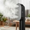 2in1 drabužių garintuvas ir sausas lygintuvas 1300W