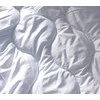 Antialerginis miego rinkinys: antklodė 160×200 cm + 2 pagalvės 70×80 cm, visiems metų laikams