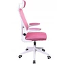 Biuro ir žaidimų kėdė su ergonominiu tinkleliu PRO