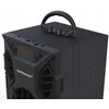 Didelė „Bluetooth“ karaoke kolonėlė „Prime3 APS11“ 1000 W