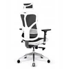 Ergonominė biuro kėdė DIABLO V-BASIC balta-juoda