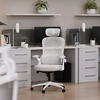 Ergonominė biuro kėdė DIABLO V-Light balta/pilka