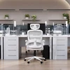 Ergonominė biuro kėdė DIABLO V-Light balta/pilka