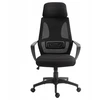 Ergonominė biuro kėdė su galvos ir juosmens atrama