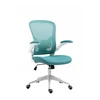 Ergonominė darbo kėdė FB21-FX turkio spalvos