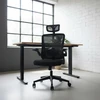 Juoda ergonominė biuro kėdė Ergo Lite LVNSystem