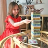 Dėlionė Medinis bokšto žaidimas Woopie, 82 dalių