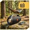 Nešiojamoji „Bluetooth“ kolonėlė Lewer, 50 W