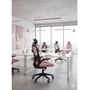 Pink Ergonominė biuro kėdė FIBI Rožinė-Juodas su mikro tinkleliu