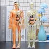 Žmogaus skeleto anatomijos modelis, 29 dalys
